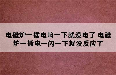 电磁炉一插电响一下就没电了 电磁炉一插电一闪一下就没反应了